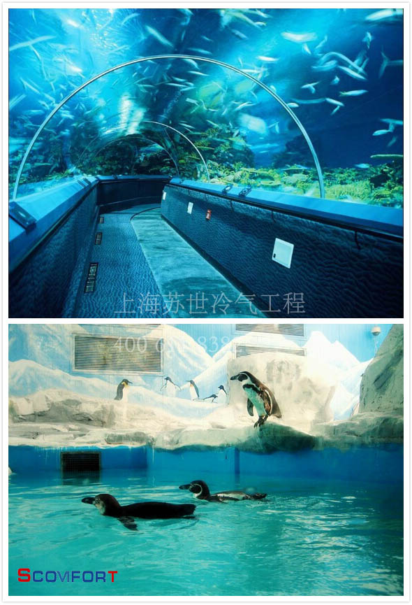 水族馆保温库 恒温库 021-66105069 严格把控温度