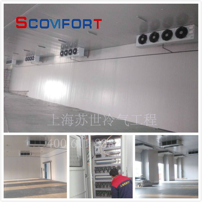 节能冷库 最大的购物中心冷库 上海苏世冷气工程专业冷库15年 021-66105068