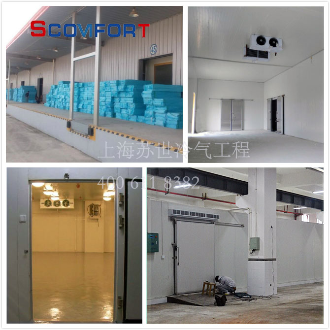 高品质冷库成就安全冷链 上海苏世成就您的非凡冷链 021-66105068 全面保证解决冷链问题 高品质冷库成就安全冷链 上海苏世成就您的非凡冷链 021-66105068 全面保证解决冷链问题