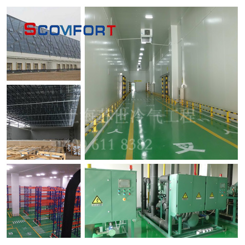 电商生鲜冷库 上海苏世冷气工程冷库专家 021-66105069 电商生鲜冷库 上海苏世冷气工程冷库专家 021-66105069
