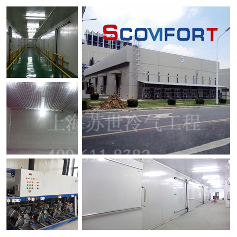 自动立体冷库 上海苏世冷气工程专业冷链 021-66105068