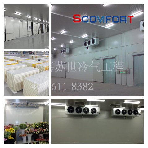 10000吨全自动化立体冷库 欢迎来电咨询上海苏世冷气工程 021-66105068